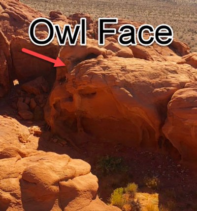 OwlFace.jpg