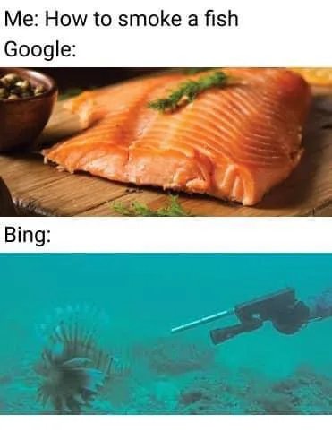 Google-vs-Bing.jpg