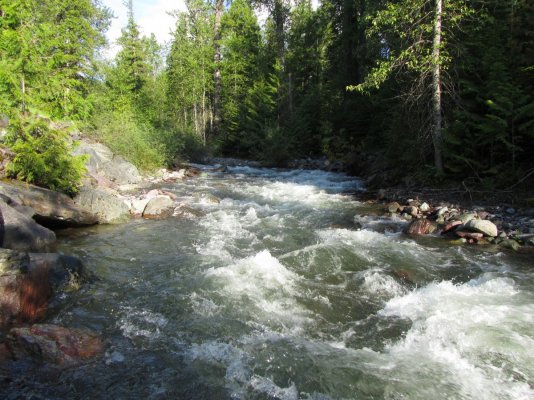 GLACIER NP 309.JPG