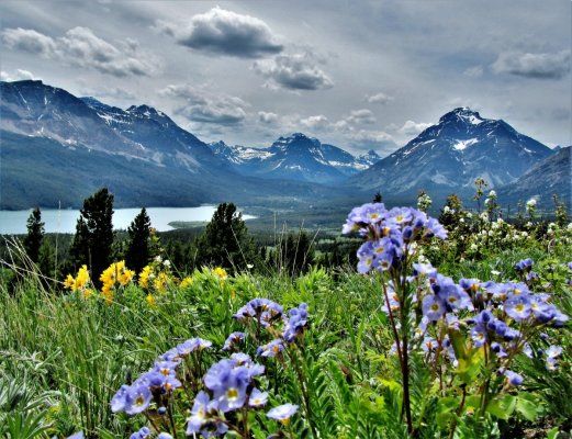 GLACIER NP 420.JPG