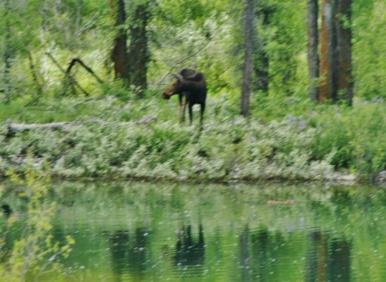 2009-06-30 GRAND TETONS NP 025.JPG