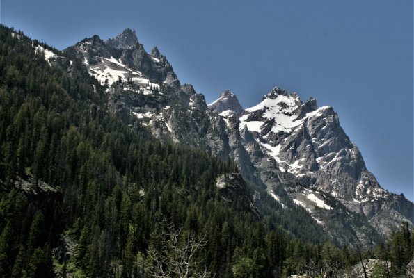 2009-06-29 GRAND TETONS NP 248.JPG