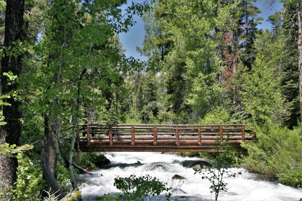 2009-06-26 GRAND TETONS NP 050.JPG