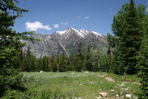 2009-06-26 GRAND TETONS NP 067.JPG