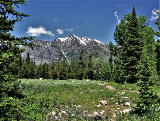 2009-06-26 GRAND TETONS NP 068.JPG