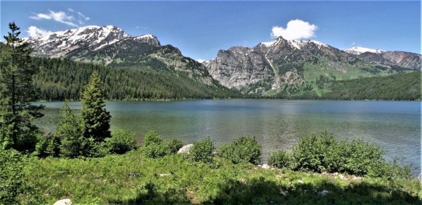 2009-06-26 GRAND TETONS NP 086.JPG