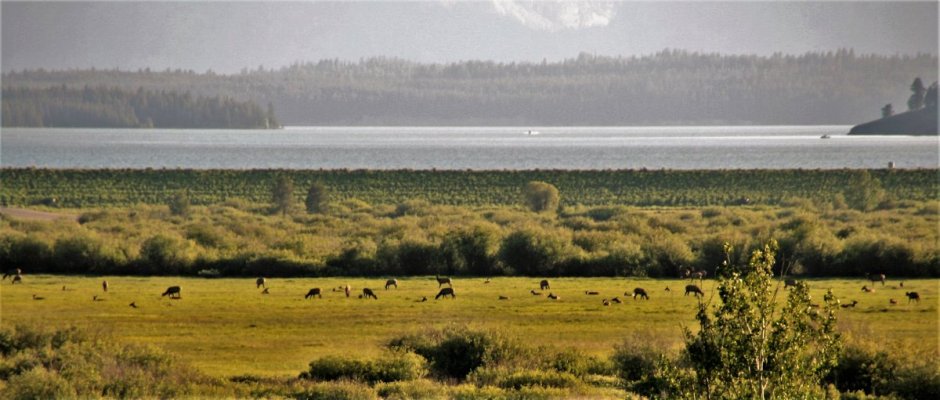 2009-06-27 GRAND TETONS NP 015.JPG