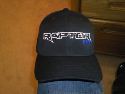 raptor hat.jpg