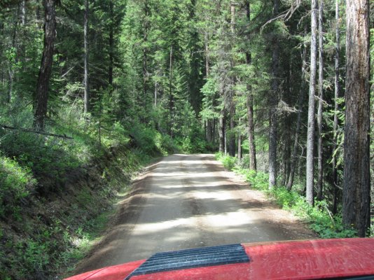 GLACIER NP 250.JPG