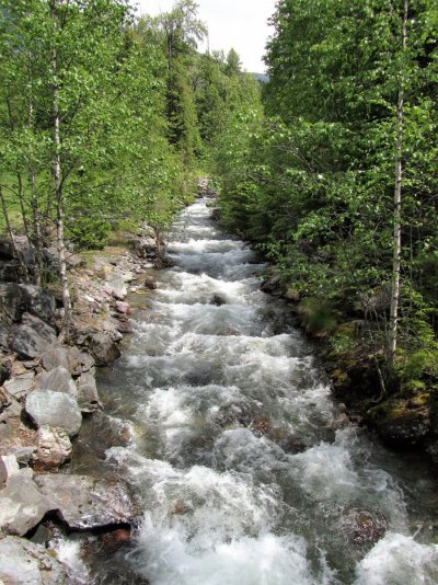 GLACIER NP 592.JPG