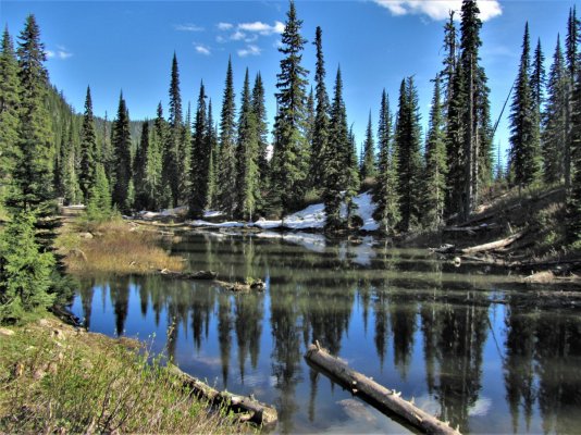 GLACIER NP 1180.JPG