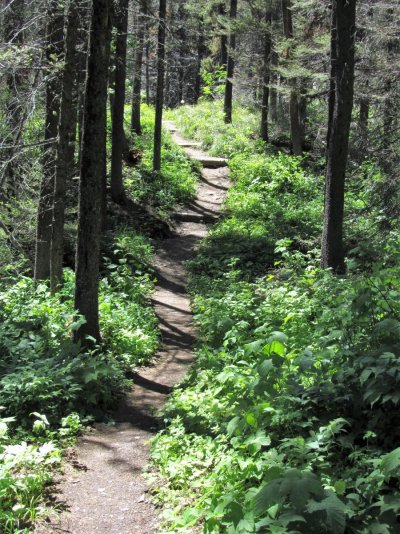 GLACIER NP 1380.JPG