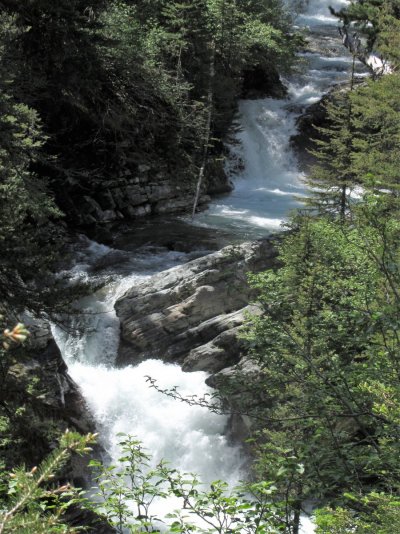 GLACIER NP 1420.JPG