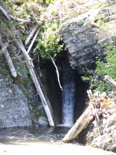 GLACIER NP 1450.JPG