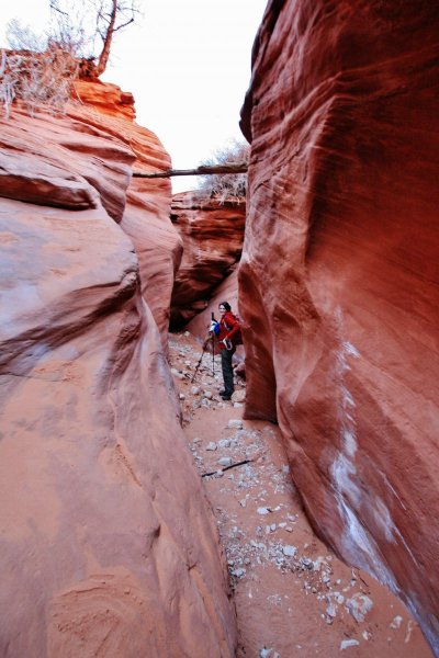 2014-01-18 BUCKSKIN GULCH SLOT CANYON 264.JPG