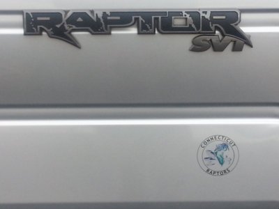 CT Raptor Sticker2.jpg