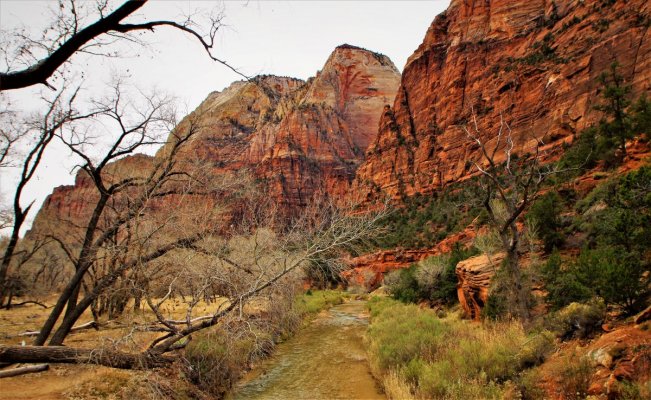 2016-12-15 ANGELS LANDING 12-2016 001.JPG