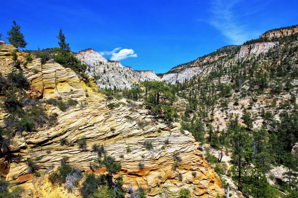 2017-05-02 Zion 5-2-17 134.JPG