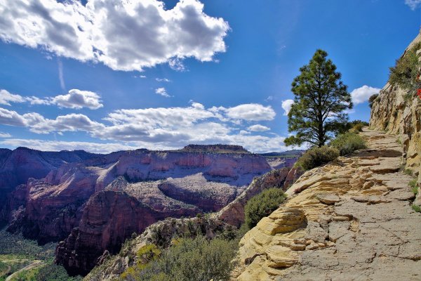 2017-05-02 Zion 5-2-17 184.JPG