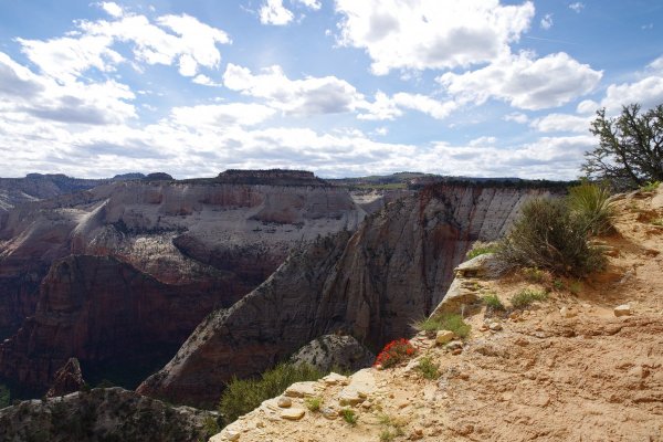 2017-05-02 Zion 5-2-17 265.JPG