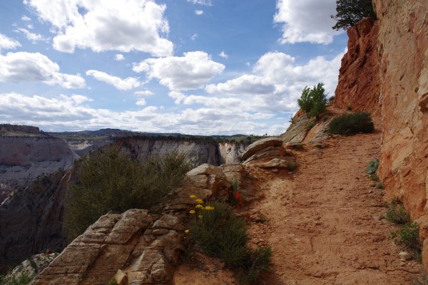 2017-05-02 Zion 5-2-17 268.JPG