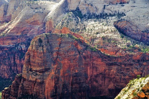 2017-05-02 Zion 5-2-17 275.JPG