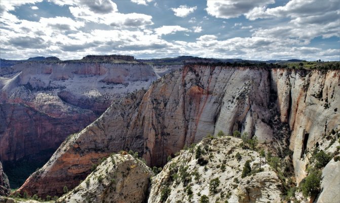 2017-05-02 Zion 5-2-17 276.JPG