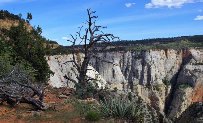 2017-05-02 Zion 5-2-17 343.JPG