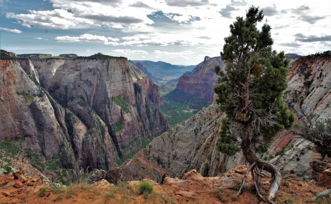 2017-05-02 Zion 5-2-17 347.JPG