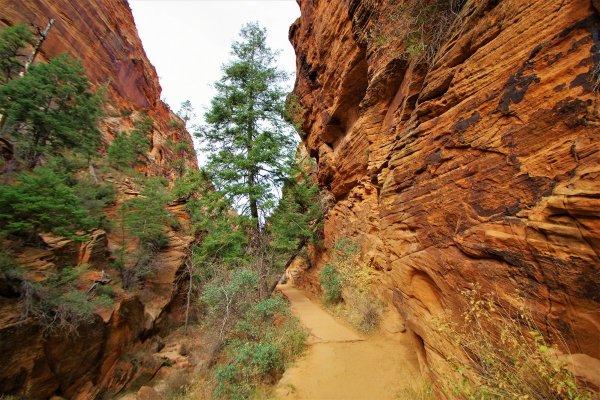 2016-12-15 ANGELS LANDING 12-2016 059.JPG