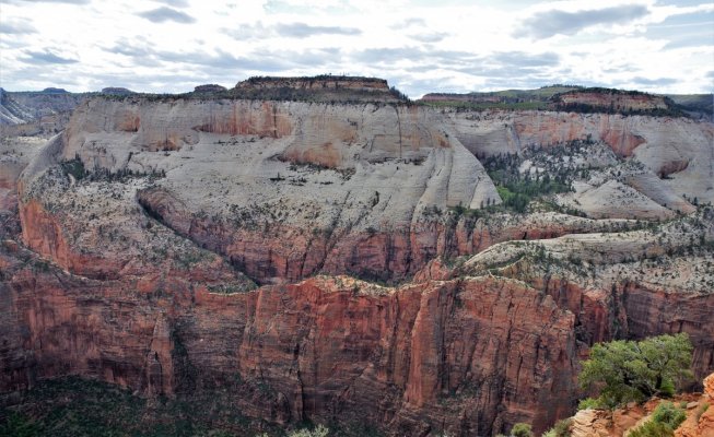 2017-05-02 Zion 5-2-17 376.JPG