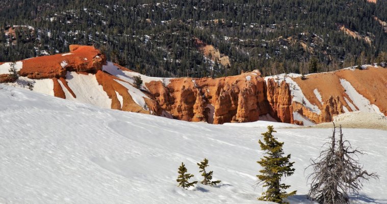 2017-03-16 CEDAR BREAKS NM 122.JPG