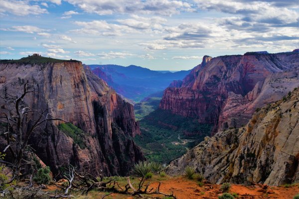 2017-05-02 Zion 5-2-17 432.JPG