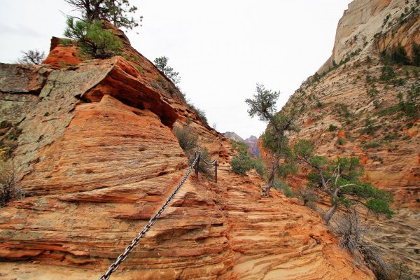 2016-12-15 ANGELS LANDING 12-2016 124.JPG