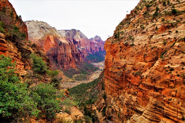 2016-12-15 ANGELS LANDING 12-2016 126.JPG