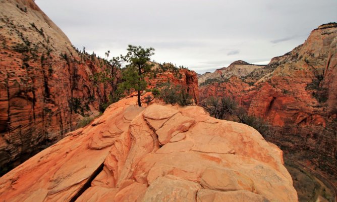 2016-12-15 ANGELS LANDING 12-2016 128.JPG