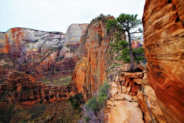 2016-12-15 ANGELS LANDING 12-2016 136.JPG