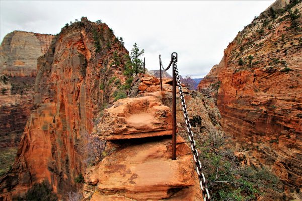 2016-12-15 ANGELS LANDING 12-2016 138.JPG