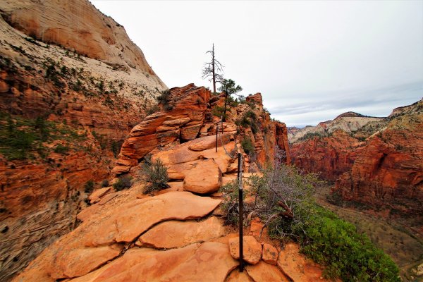 2016-12-15 ANGELS LANDING 12-2016 147.JPG