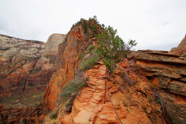 2016-12-15 ANGELS LANDING 12-2016 151.JPG