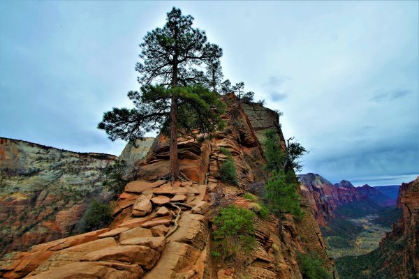 2016-12-15 ANGELS LANDING 12-2016 157.JPG