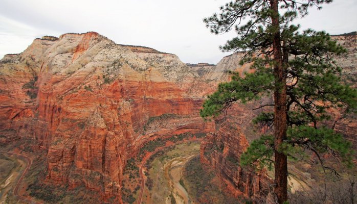 2016-12-15 ANGELS LANDING 12-2016 168.JPG