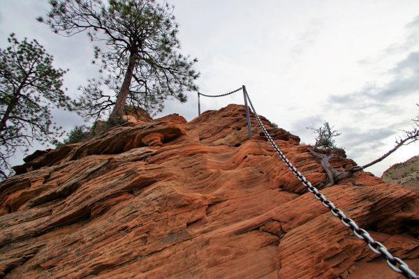 2016-12-15 ANGELS LANDING 12-2016 174.JPG