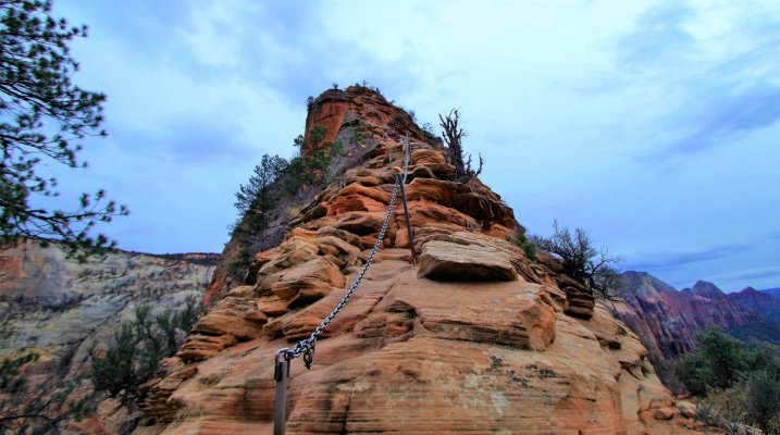 2016-12-15 ANGELS LANDING 12-2016 175.JPG