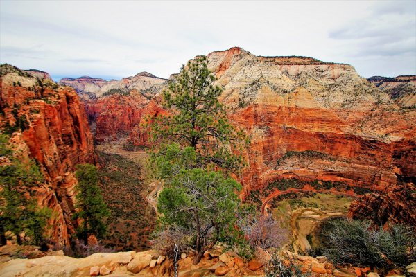 2016-12-15 ANGELS LANDING 12-2016 186.JPG