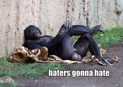 haters-gonna-hate-monkey-big-balls.jpg