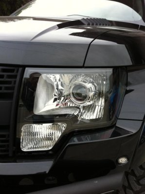 raptor led 2.jpg