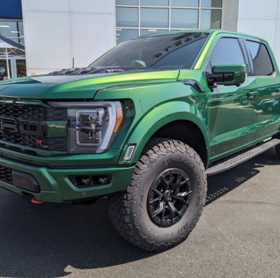 green raptor.JPG