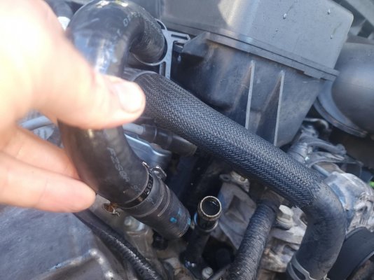 heater inlet hose.jpeg