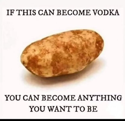 Motivational-potato-of-hope-1699887050971.jpg